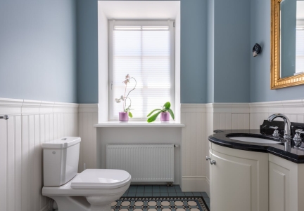 Cum sa adaptezi baia pentru batrani: de ce un scaun WC este indispensabil